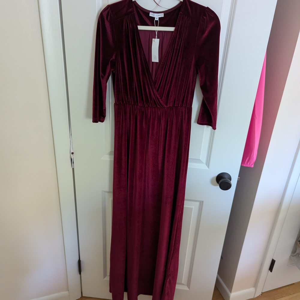 NWT Baltic Born Maxi Dress